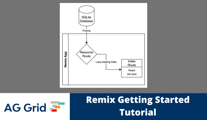Using AG Grid React UI with Remix.run
